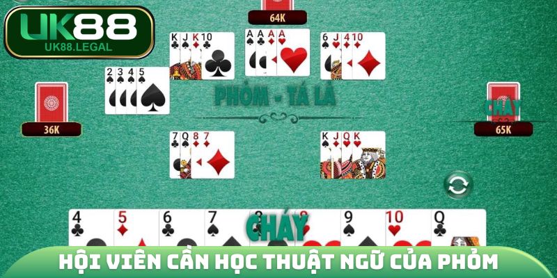 Chơi Bài Phỏm - Hướng Dẫn Giúp Tân Thủ Nhập Cuộc Tự Tin 4 Hội viên cần học thuật ngữ xuất hiện trong ván