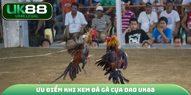 Đá Gà Cựa Dao - Giải Trí Đỉnh Cao, Ăn Thưởng Cực Đã Tại UK88 3 Ưu điểm khi xem đá gà cựa dao UK88