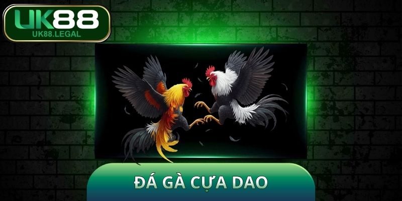 Đá Gà Cựa Dao - Giải Trí Đỉnh Cao, Ăn Thưởng Cực Đã Tại UK88 1 Đá Gà Cựa Dao