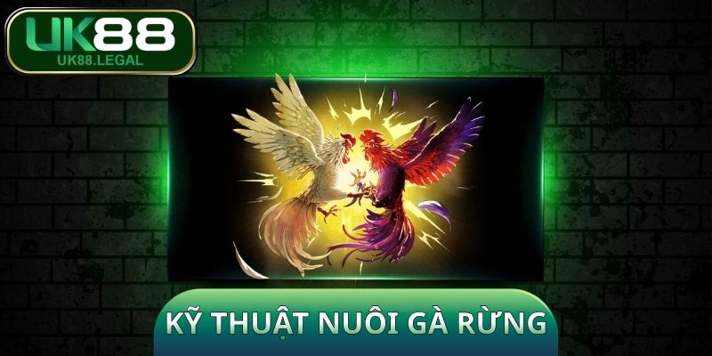 Kỹ Thuật Nuôi Gà Rừng - Cẩm Nang Kiến Từ A - Z Cho Sư Kê 1 Kỹ Thuật Nuôi Gà Rừng - Cẩm Nang Kiến Từ A - Z Cho Sư Kê